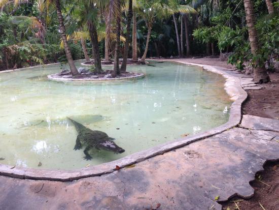 Crococun Zoo